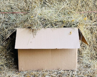 Guinea Pig, Chinchilla, Rabbit & Degu Meadow Hay