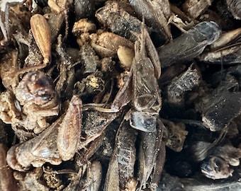 Dried Crickets for | Hamsters | Rats | Mice | Gerbils | Birds small pet protein