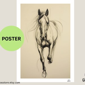 Shadow - Horse illustration - wall art - portrait - horse art - horse lover gift - minimalist