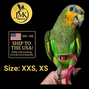 May include: A green parrot wearing a green and pink harness with a leash. The harness has the word "Melody" printed on it. The image also includes the text "JMK Harness" and "Size: XXS, XS".