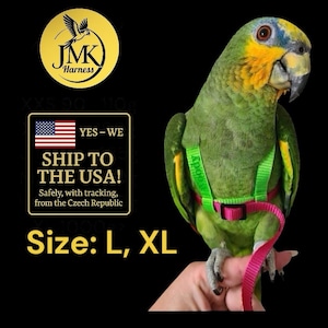May include: A green parrot wearing a green and pink harness with a leash. The harness has the word "Melody" printed on it. The image also includes the text "JMK Harness" and "Size: L, XL".