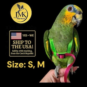 May include: A green parrot wearing a green and pink harness with a leash. The image includes a logo and text that reads "JMK Harness" and "Size: S, M". The parrot is perched on a finger.
