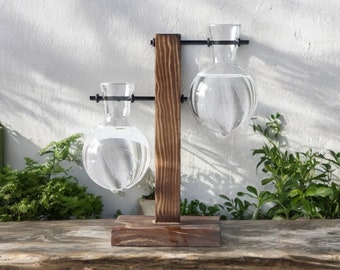 3 Styles of Bulb Planter Vase for Aesthetic Home Decor Garden Alchemy Plant Pots Design