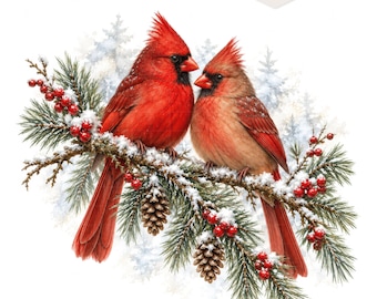 May include: Two northern cardinal birds perched on a snow-covered pine branch with red berries and pinecones. The male is bright red with a black face mask, while the female has brownish-red plumage. A tag in the corner displays the text 20 JPG.