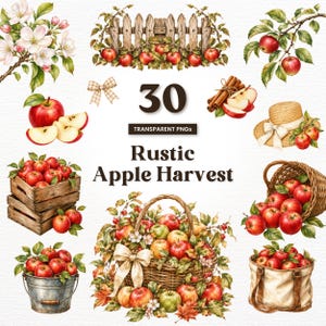 Könnte beinhalten: Eine Sammlung von 30 digitalen Illustrationen mit roten Äpfeln, Holzkisten, geflochtenen Körben, einem Strohhut, Zimtstangen und Apfelblüten. Der Text lautet 30 TRANSPARENT PNGs Rustic Apple Harvest und zeigt verschiedene Erntemotive.