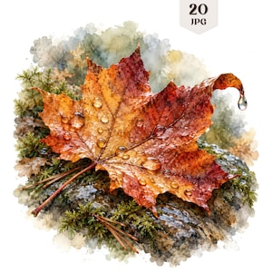 20 Watercolor Autumn Leaves Clipart, Fall Foliage with Raindrops JPGs, Rain Maple Leaf Art, Rustic Woodland Nature Graphic, Paper Craft