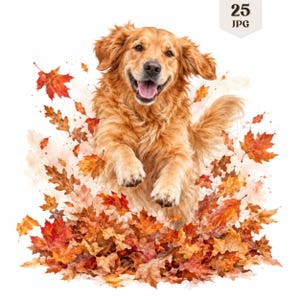 Könnte beinhalten: Ein Golden Retriever mit fröhlichem Ausdruck und offenem Maul springt durch einen Haufen leuchtender Herbstblätter in Rot-, Orange- und Gelbtönen. Der Hund ist von verstreutem Laub umgeben und ein kleines Etikett in der Ecke zeigt 25 JPG.