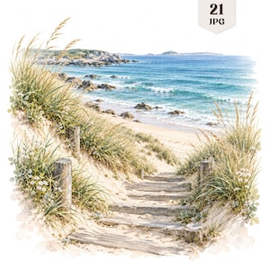Pode incluir: Uma ilustração digital de um caminho de praia arenoso com degraus de madeira que levam ao oceano. A cena apresenta grama alta de praia, flores silvestres brancas e postes de madeira desgastados. O texto 21 JPG aparece no canto superior direito.