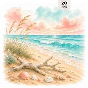 Könnte beinhalten: Eine Aquarellillustration einer Strandszene mit sandigem Ufer, Treibholz, verschiedenen Muscheln und Strandgras. Im Hintergrund ist ein türkisfarbener Ozean mit sanften Wellen unter einem Himmel voller rosa und blauer Wolken zu sehen.
