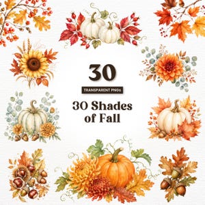 Könnte beinhalten: Eine digitale Sammlung von 30 Aquarellillustrationen mit herbstlichen Motiven, darunter weiße und orangefarbene Kürbisse, Sonnenblumen, Dahlien, Eicheln, Kastanien sowie rote, orange und gelbe Ahornblätter. Der Text lautet 30 TRANSPARENT PNGs.