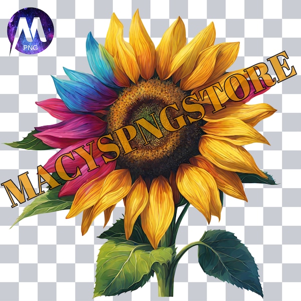 Colorful Sunflower PNG, Spring JPG, Flower SVG