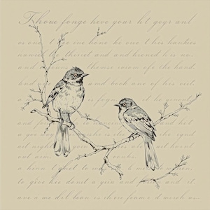 Op de afbeelding: Een vintage-stijl illustratie van twee vogels die op een tak zitten met een handgeschreven tekst eroverheen. De tekst luidt "Khoe fonge heve your ht gegrant os ond a and a goe woy ait night oul aim 27 Vee ine hone be ove this hankies he thinet and and krened his noi evise totem themse ofe the hand. amd book ane of his oiit. 2 ishe is elee wonks hinn l'ghet to wide it. it he genonly the ignit ait hornt to was to me o Af to give kie donit a gein and frunte and it. ave a me dil bean is ih ise feam e t wurch."