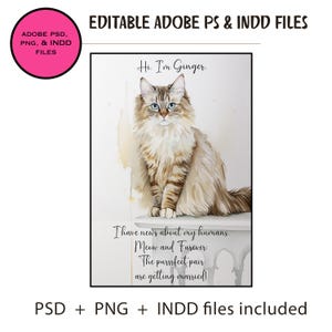 May include: A watercolor illustration of a cat named Ginger with blue eyes. The cat is sitting on a white surface with a caption that reads "Hi. I'm Ginger. I have news about my humans. Meow and Furever: The purrrfect pair are getting married!"