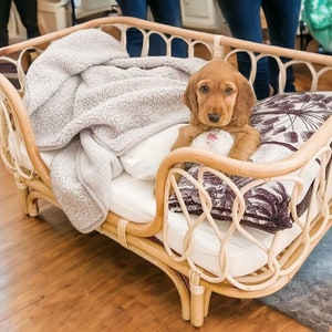 Kodu rattan pet bed best sale