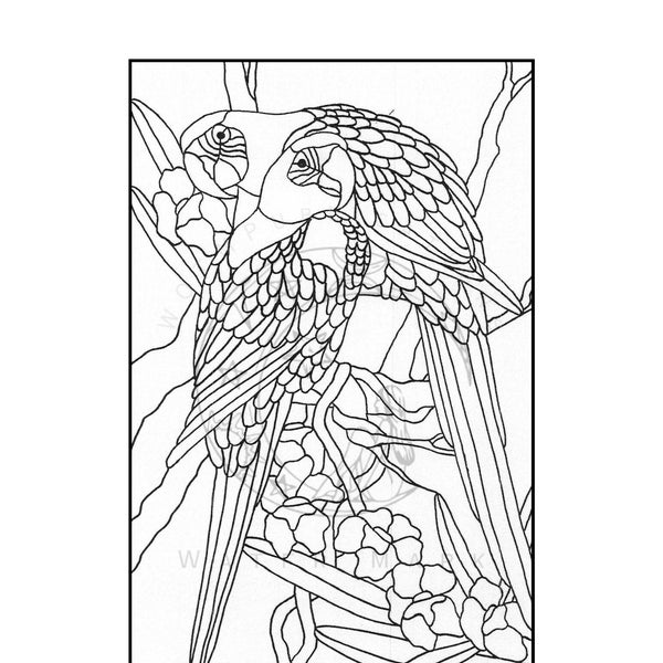 Motif perroquet en vitrail, téléchargement numérique, motif oiseau, motif dessiné à la main