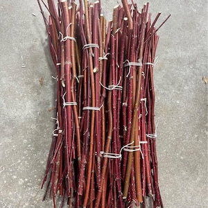 May include: A bundle of red and brown branches tied together with white string. The branches vary in thickness and length, with some showing a slight curve. The overall color palette is a mix of deep reds and earthy browns.