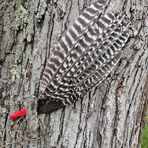 May include: A set of three ceramic mugs with a speckled, matte finish. The mugs are in shades of cream, light gray, and dark gray. Each mug has a simple, modern design and a rounded handle.