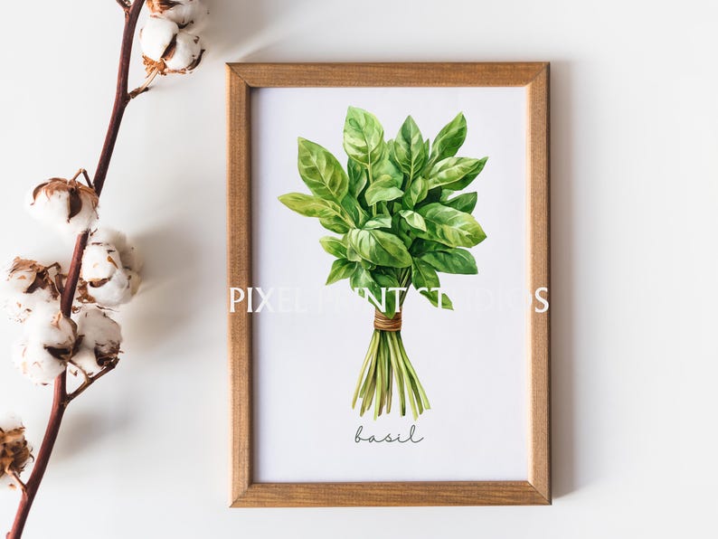 Watercolor Basil Botanical Clipart | Commercial License | SINGLE IMAGE ...