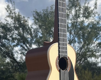 The Guitar - Birdhouse 2 Sizes Available