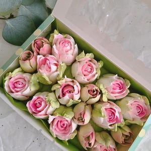 May include: A box of pink and white rose-shaped treats with green leaves. The treats are arranged in a green and white polka-dot box with a clear lid. The roses have a detailed design and are set on a bed of green paper.