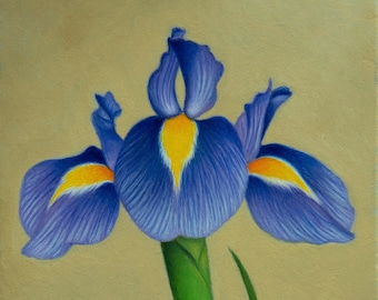 Original Iris Oil Painting: Small Still Life Floral Art