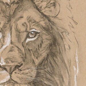 May include: A close-up of a charcoal pencil drawing of a lion's face. The lion's eye is visible, and the fur is detailed with shading.