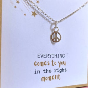 Kleine Peace Zeichen Halskette, Charm Anhänger, Charm Kette, Minimalist Schmuck, Geschenk für Bruder, Geschenk für Schwester