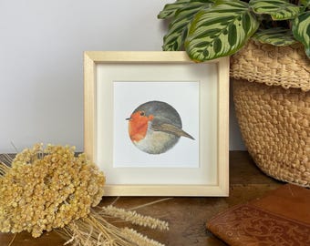 ロビン鳥の絵、オリジナルの正方形ポストカード。