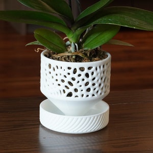 May include: A white ceramic planter with a decorative, openwork design, featuring a green orchid plant. The planter has a matching saucer.