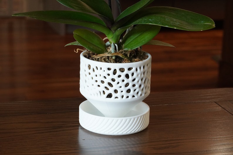 May include: A white ceramic planter with a decorative, openwork design, featuring a green orchid plant. The planter has a matching saucer.