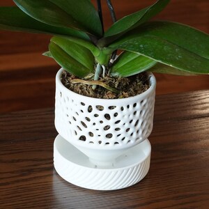 The Cypress - Self-Watering Orchid Pot with Voronoi Pattern, Cylindrical Design, and Bottom Water Reservoir, Modern Plant Pot image 4