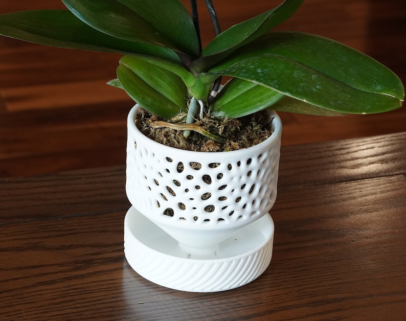 The Cypress - Self-Watering Orchid Pot with Voronoi Pattern, Cylindrical Design, and Bottom Water Reservoir, Modern Plant Pot image 4
