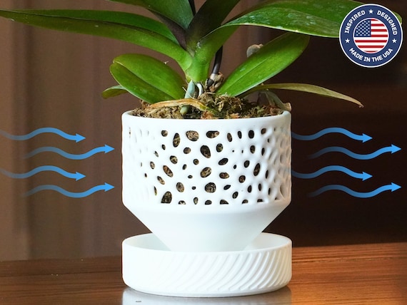 The Cypress - Self-Watering Orchid Pot with Voronoi Pattern, Cylindrical Design, and Bottom Water Reservoir, Modern Plant Pot