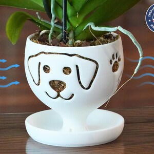 Puede incluir: Maceta de orquídeas de cerámica blanca con diseño de cara de perro y huella de pata. La maceta, con base de platillo, contiene tierra y una planta verde. El diseño es "Inspired & Designed Made in the USA".