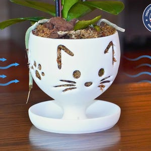 May include: White ceramic planter shaped like a cat's face with holes for drainage. The planter has a saucer and is holding an orchid plant.