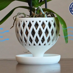 May include: White orchid plant in a white, diamond-shaped, hanging planter with a drainage tray. The planter has a unique design that allows for air circulation around the roots.
