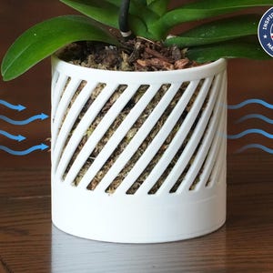 The Aspen - Selbstbewässernder Orchideentopf mit Diagonallinienbelüftung, zylindrisches Design mit Bodenwasserreservoir, eleganter Pflanzentopf