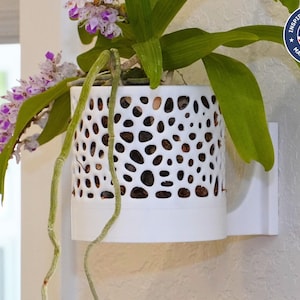 The Bay Sconce - Väggkruka med orkidé och voronoimönster, självbevattnande väggkruka, modern inomhusväxtdekoration