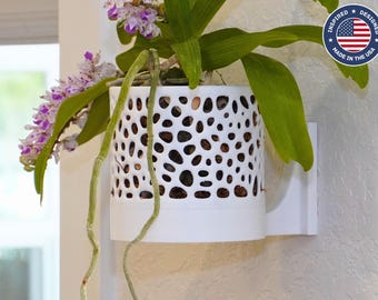 The Bay Sconce - Orchid Wall Planter with Voronoi Pattern, Self-Watering Wall Mount Planter, Modern Indoor Plant Decor
