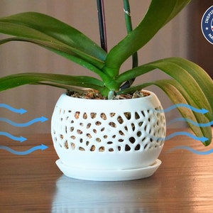 Puede incluir: Maceta de cerámica blanca para orquídeas con un diseño calado decorativo. La maceta tiene un platillo y está sentada sobre una superficie de madera. El flujo de aire está indicado por flechas azules.