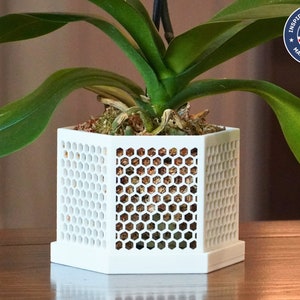 May include: White hexagonal planter with a honeycomb design, featuring a green orchid plant with multiple leaves. The planter has a base and is made in the USA.