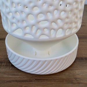 The Cypress - Self-Watering Orchid Pot with Voronoi Pattern, Cylindrical Design, and Bottom Water Reservoir, Modern Plant Pot image 9
