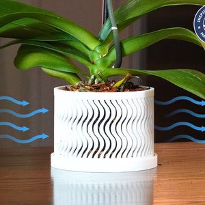 Puede incluir: Planta de orquídea blanca en una maceta blanca decorativa con un patrón de ondas y agujeros de drenaje. La maceta está sobre una superficie de madera. El flujo de aire está indicado por flechas azules.