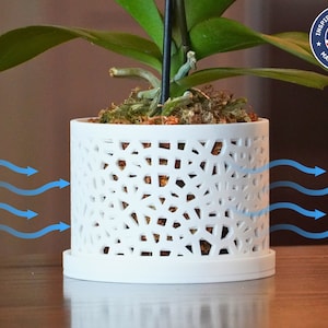 May include: White ceramic planter with a geometric pattern, designed to allow air circulation. A green orchid plant is growing in the planter. The planter is sitting on a wooden surface.