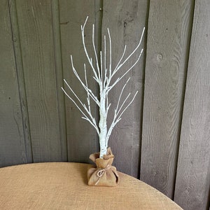 May include: White birch branch tree with a burlap base. The tree is on a brown burlap table cloth.