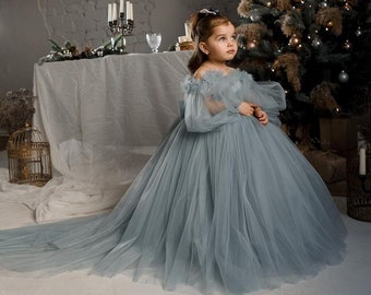 Lichtblauwe bloemenmeisje jurk, bloemenmeisje jurk tule, peuter baljurk jurk, junior bruidsmeisjesjurk, baby trouwjurk