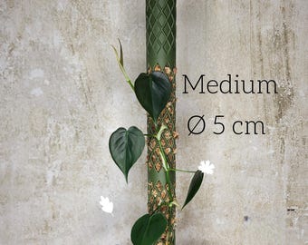 Rankstab Medium (Ø5cm)