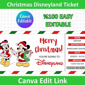 Christmas Surprise Disneyland Ticket, Disneyworld Ticket, Editable Ticket, Surprise Reveal Ticket Gift, Theme Park Ticket, Disneyland Ticket