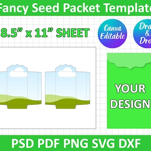 Op de afbeelding: Een zaadpakket sjabloon met een lichtblauw en groen ontwerp. De sjabloon is 21,59 cm x 27,94 cm groot en bevat de tekst "Fancy Seed Packet Template" en "YOUR DESIGN". Het ontwerp is bewerkbaar in Canva en bevat de bestandsformaten PSD, PDF, PNG, SVG en DXF.
