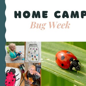 May include: A collage of images related to a "Bug Week" theme. The top image shows the words "HOME CAMP Bug Week". The other images show a girl drawing a ladybug, a girl holding a ladybug craft, a jar with ladybug drawings, and a real ladybug on a green leaf.